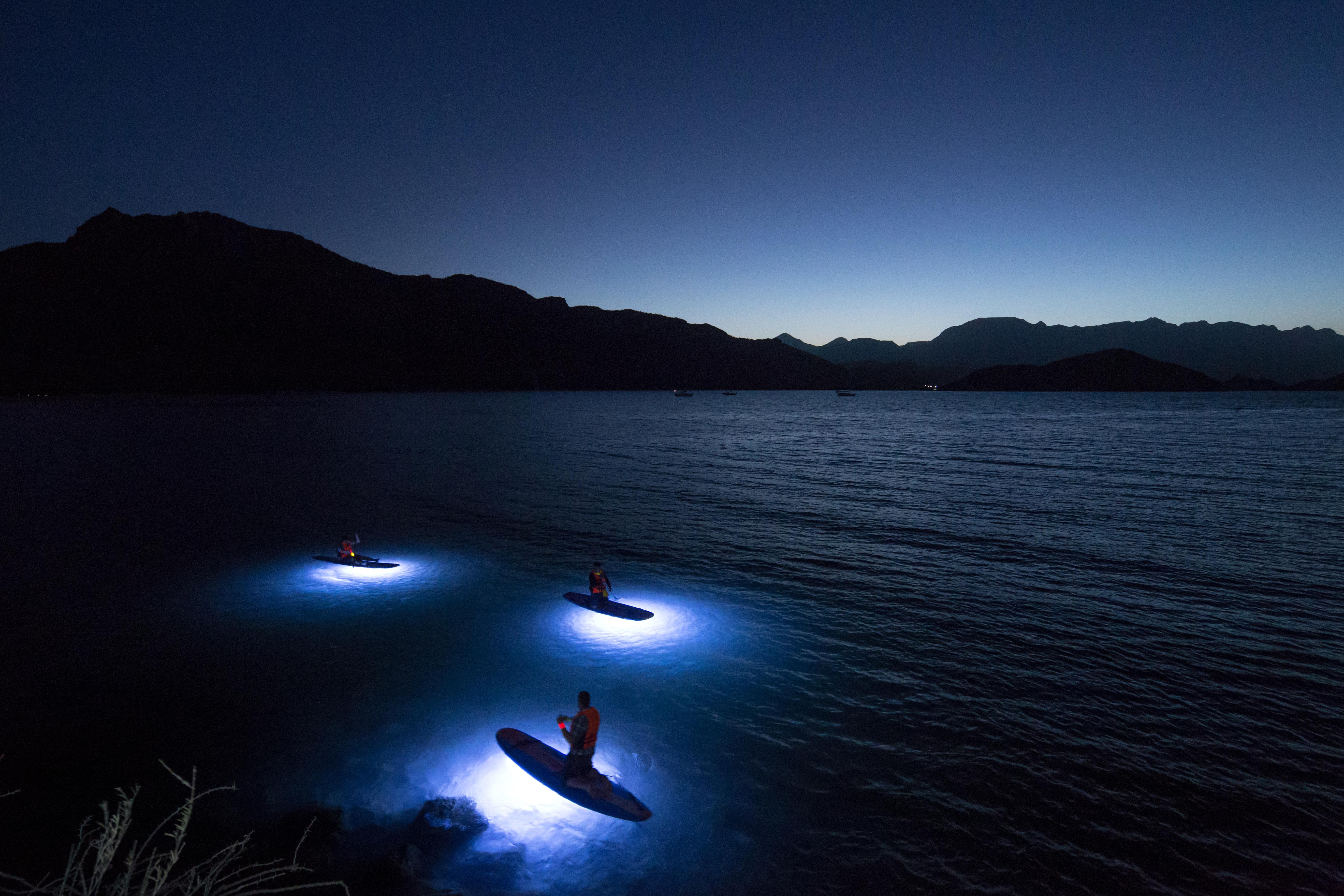 Villa Del Palmar At The Islands Of Loreto Loreto  Exteriör bild