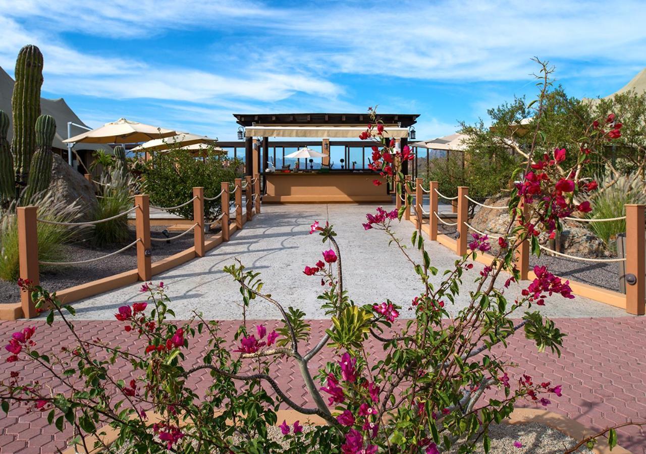 Villa Del Palmar At The Islands Of Loreto Loreto  Exteriör bild